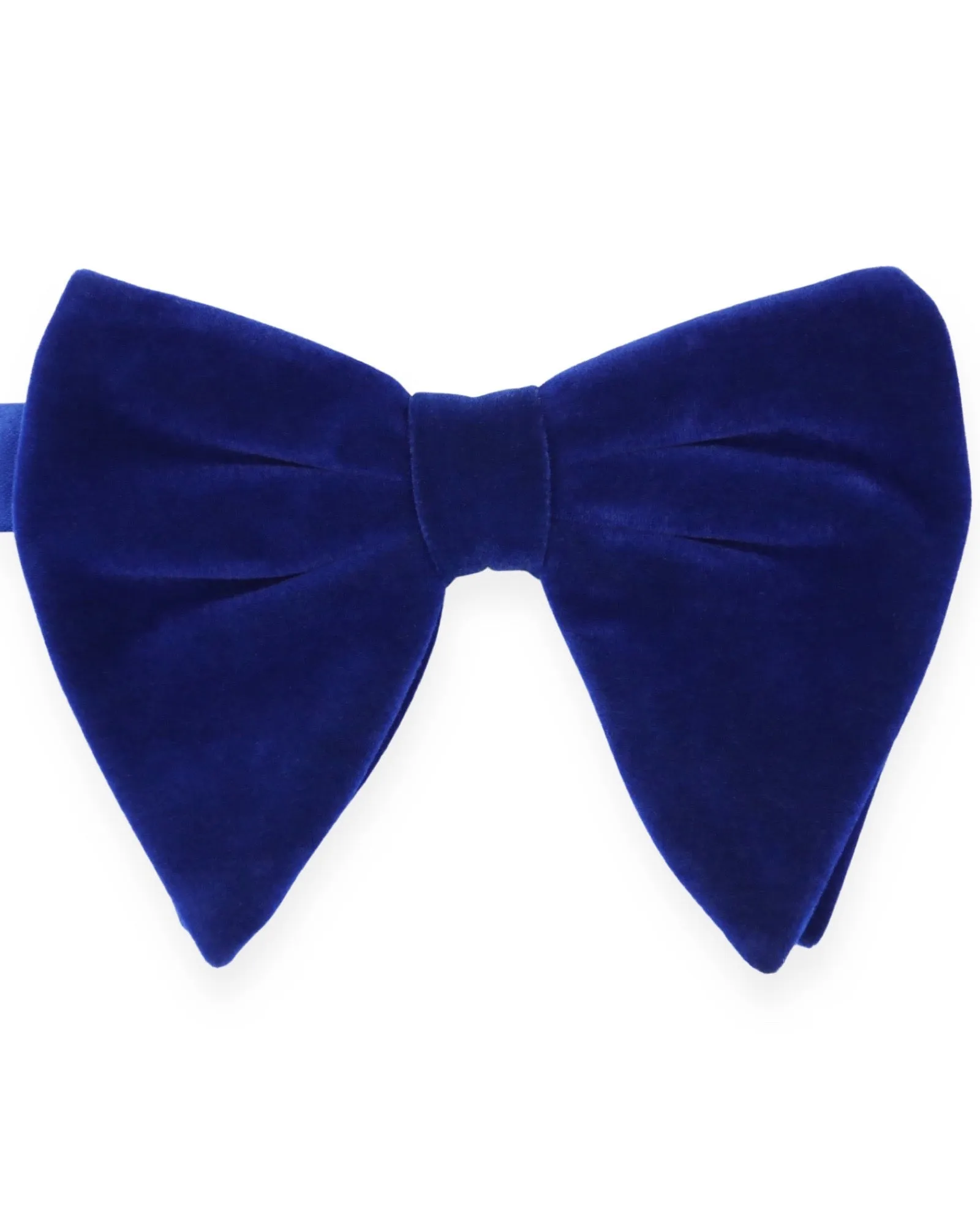 DCLIC Floppy Velvet Bow Tie - Royal