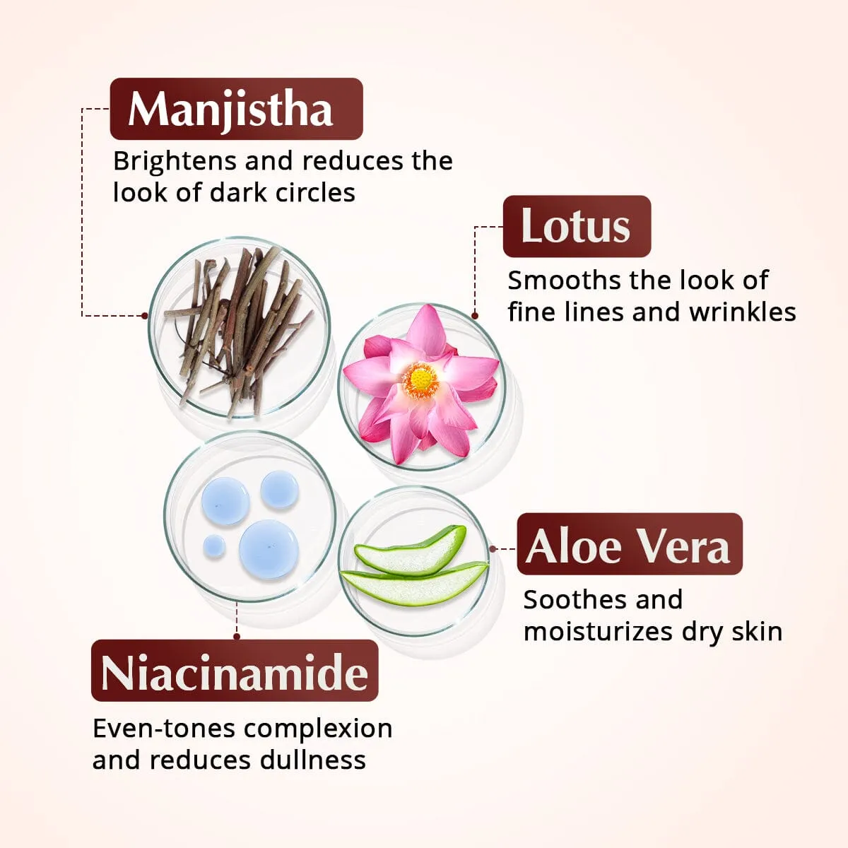 Rufolia PRO Periorbital Eyemulsion - Eye Contour Cream – Brighten, Firm and Moisturize Under-Eyes – New Formula with Manjistha, Aloe Vera, Lotus, and Niacinamide – Best Under-Eye Cream – With Clinically Tested Ingredients